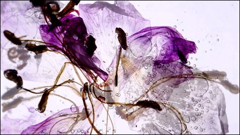 Flow-01
