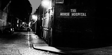 The Horse Hopital